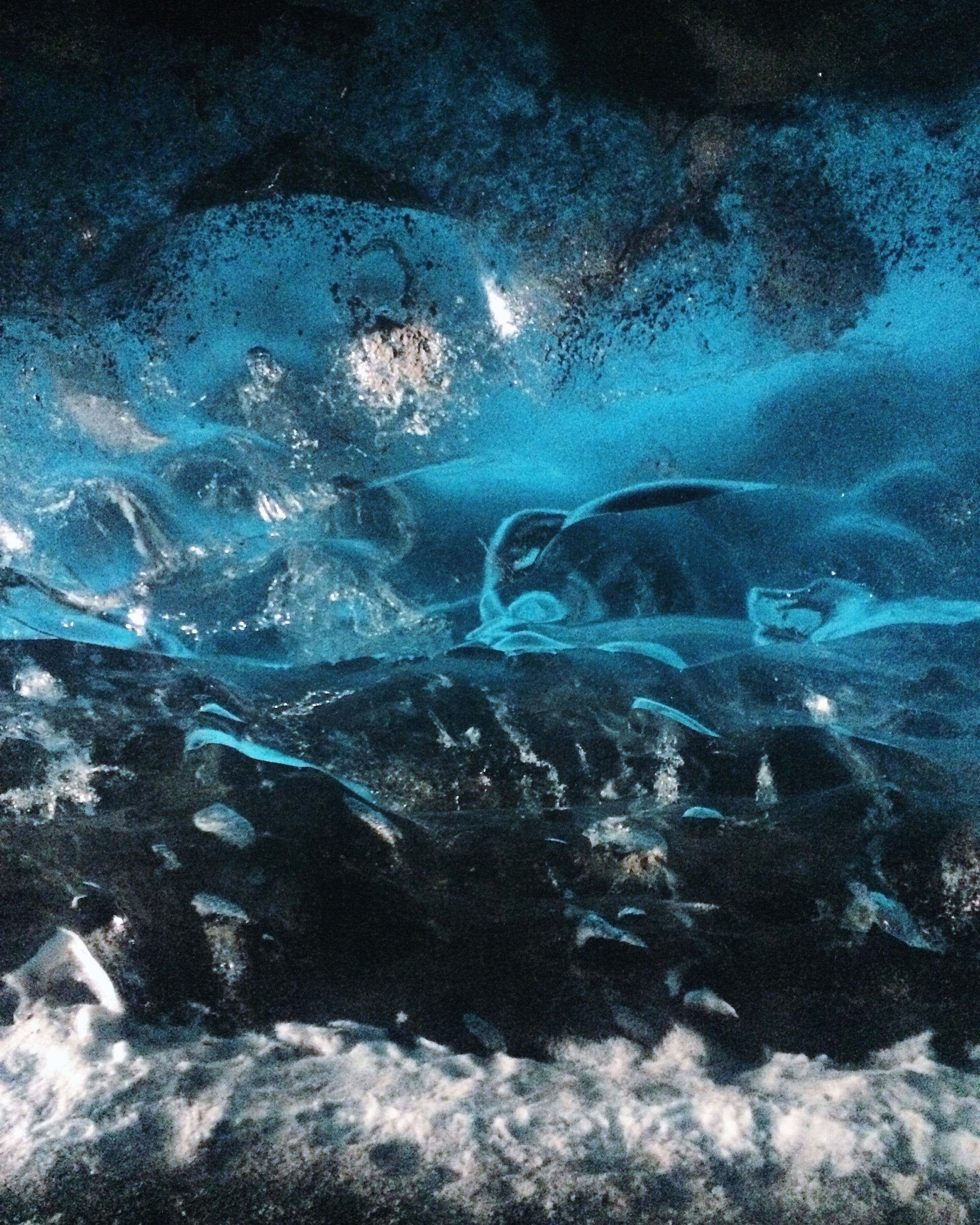 Besuch einer Eishöhle in Süd-Island