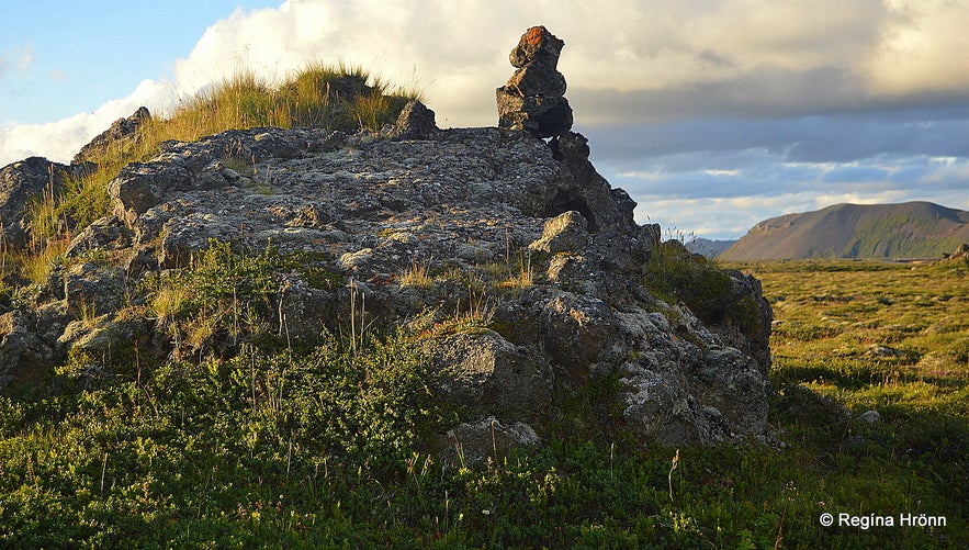 Melrakkaslétta NE-Iceland