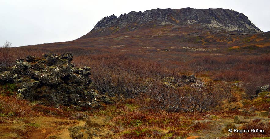 The Eldborg crater rising above red autumn shrubland near the Landbrotalaug Hot Spring.