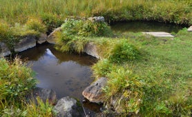 Kualaug hot pool