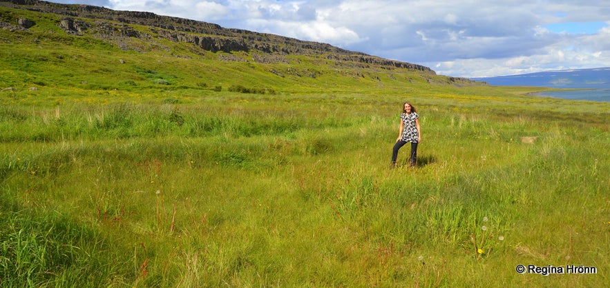 Vatnsfjörður Viking ruins - the longhouse