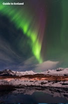 La aurora boreal descendiendo desde un cielo estrellado.