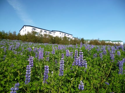Reykjavík de A à Z
