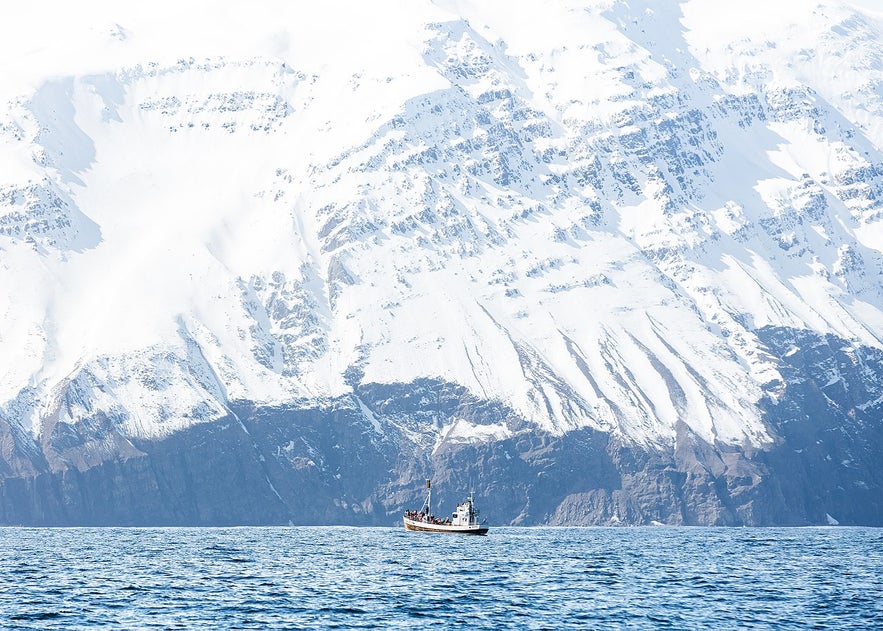 Observation de baleines dans la baie de Skjálfandi vers Húsavík