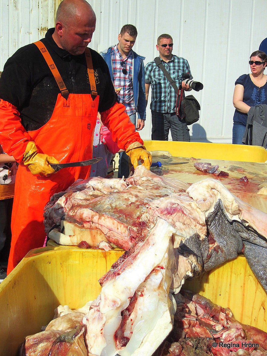 Fiskidagurinn mikli in Dalvík - cutting of the shark