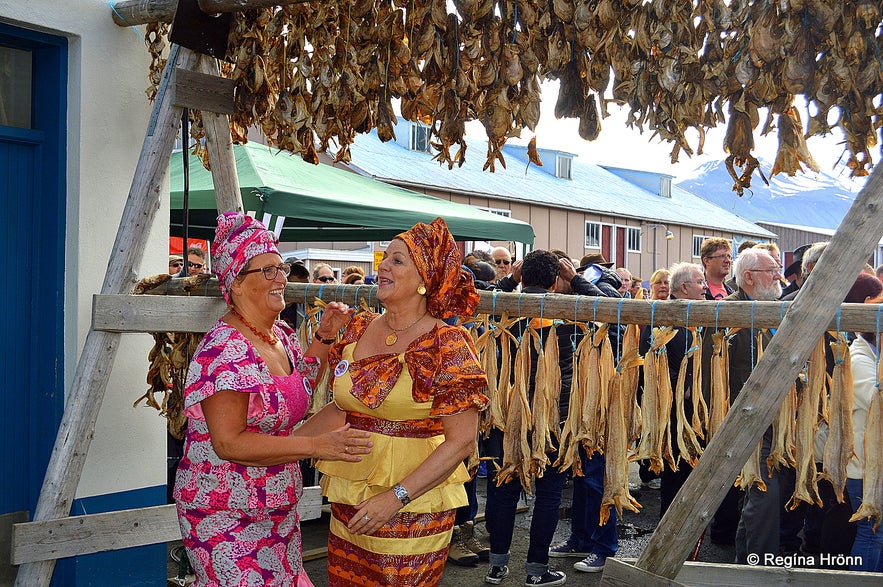 Fiskidagurinn mikli in Dalvík - dried fish hanging