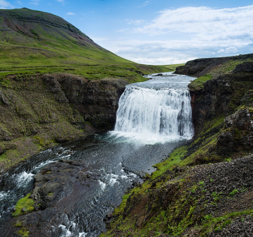 冰島purfoss