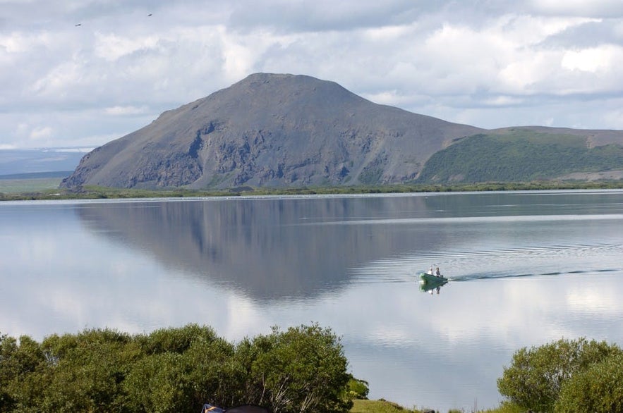 Le lac Mývatn dans le nord de l'Islande a une variété de poissons