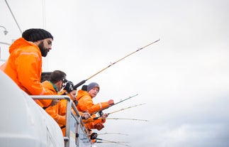 Going sea angling in Faxaflói Bay means setting sail out from the Old Harbour in Reykjavík's centre.