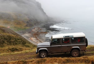 Vous verrez des vues spectaculaires sur les fjords de l'ouest lors d'une visite en jeep de la région.