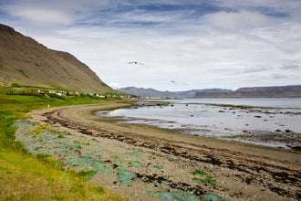 The Westfjords don't have black sand beaches like the rest of Iceland, but sand of white or red.