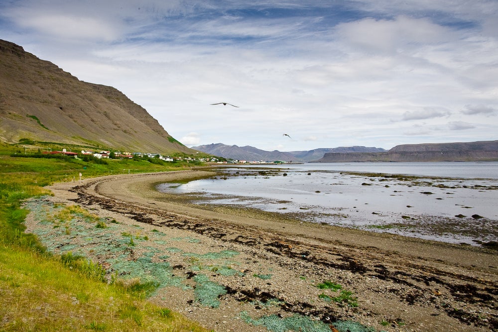 Contrairement au reste de l’Islande, les Fjords de l’Ouest n’ont pas de plages de sable noir, mais du sable blanc ou rouge.