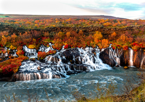 Hraunfossar have numerous cascades dropping from a vast lava field.