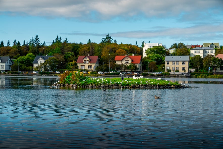 Tjornin pond is rich in birdlife.