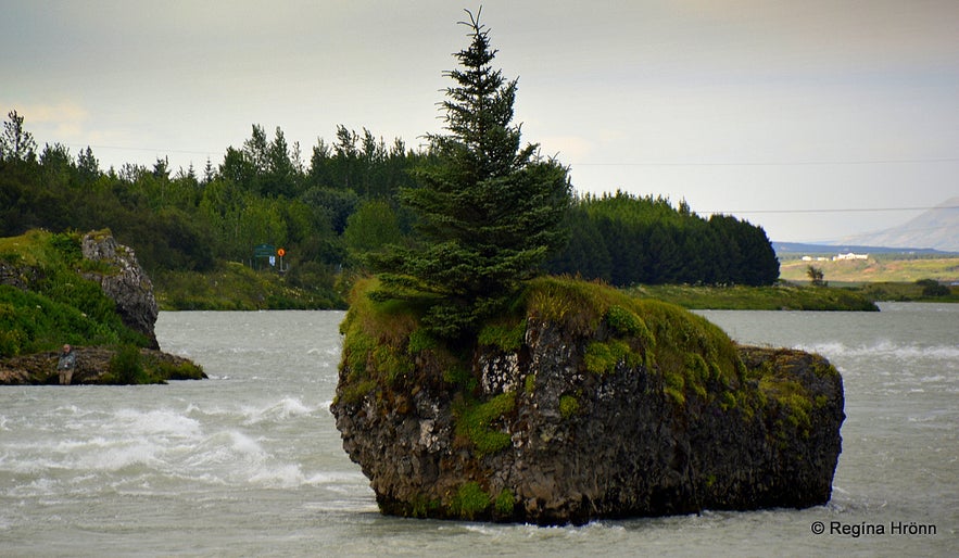 Ölfusá river South-Iceland