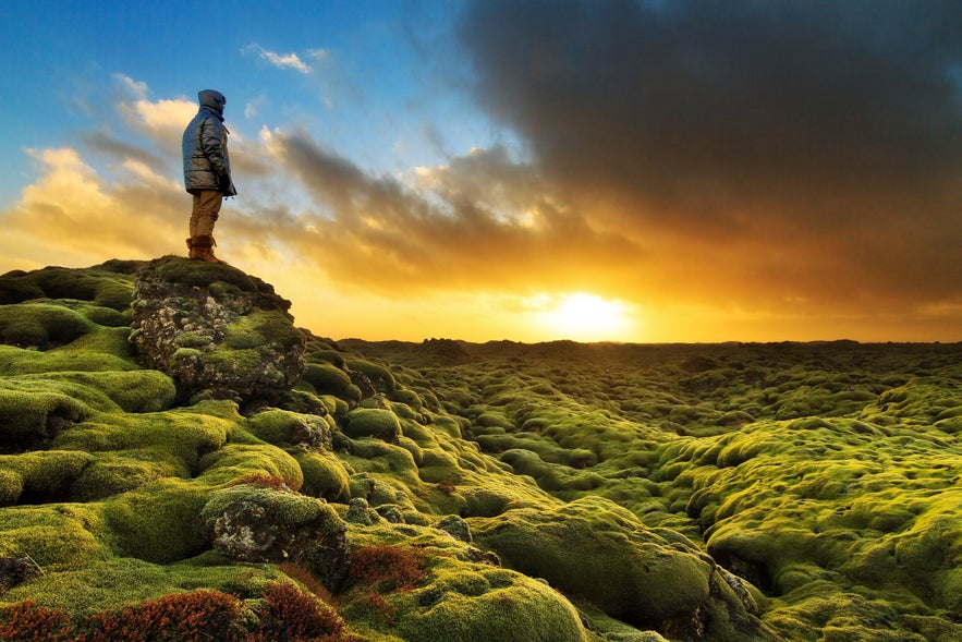 Comment une personne venant en Islande peut-elle ne pas être inspirée par cette nature incroyable?