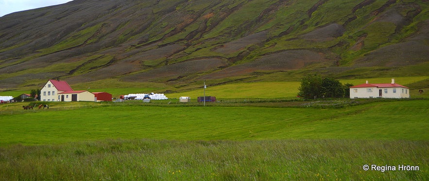 The extraordinary Aldeyjarfoss Waterfall in North-Iceland in beautiful Basalt Column Settings