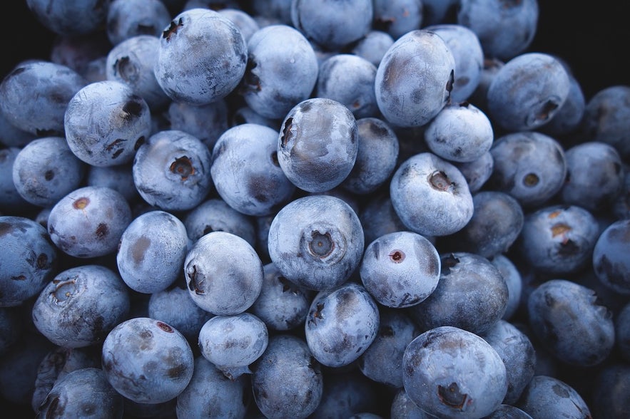 Blueberries grow wild in Iceland.