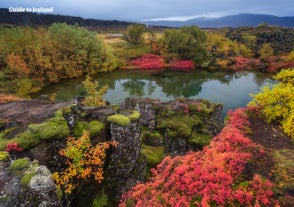 Der Nationalpark Thingvellir des Goldenen Kreises ist in wunderschöne rote, gelbe und grüne Farben gehüllt