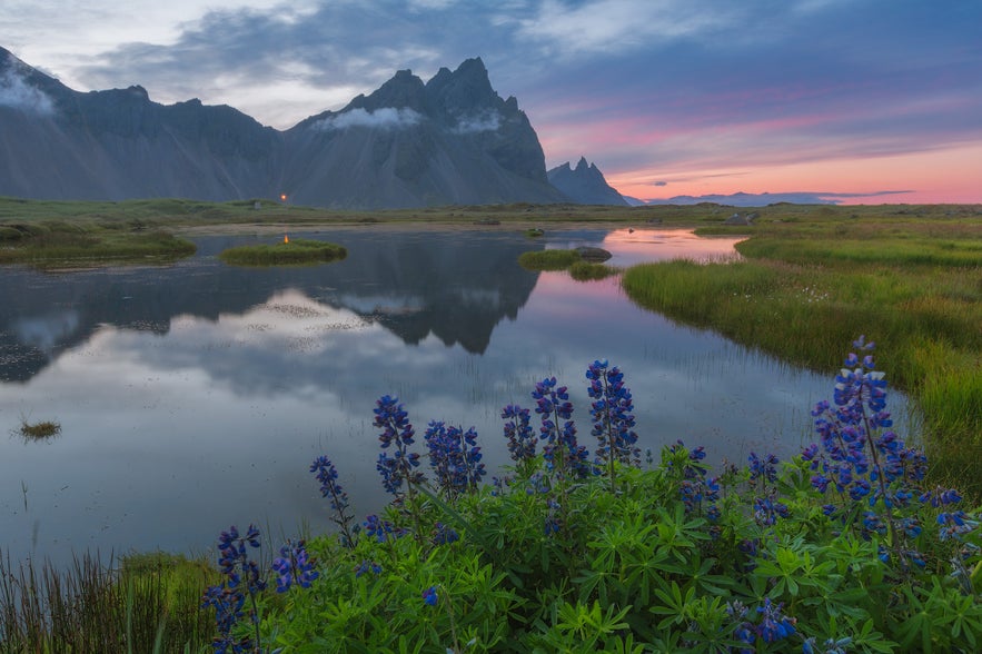 冰島的Vestrahorn