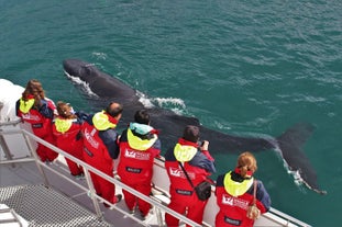 En este tour de avistamiento de ballenas desde Akureyri se proporcionan monos de abrigo.