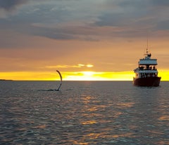 Midnatssolen skinner mod havet, mens en hval bryder overfladen.