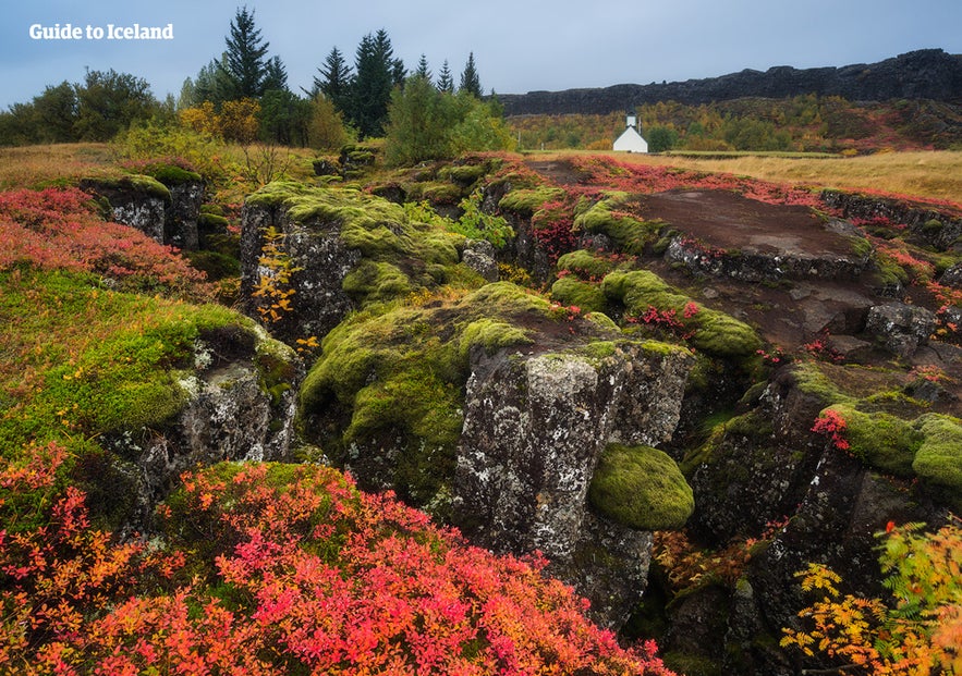 秋天的Thingvellir