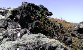 冰岛西南部雷克雅内斯半岛的Kapelluhraun熔岩原