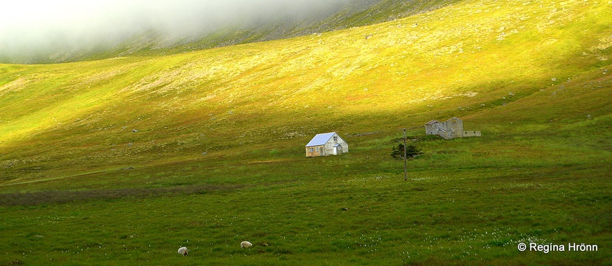 The sweeping landscapes of the Westfjords - Uppsalir in Selárdalur.