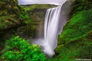 Die Klippen rund um den Wasserfall Skógafoss an der Südküste sind grün bewachsen und von unzähligen Vögeln bevölkert.