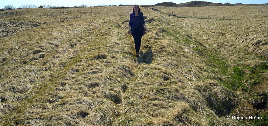 Remains of the 11th Century Bjarnargarður Wall