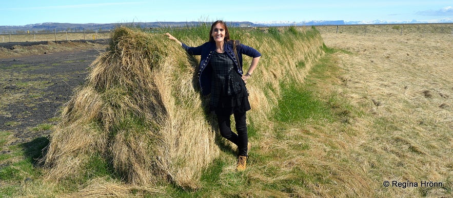 Regína by the Remains of the 11th Century Bjarnargarður Wall