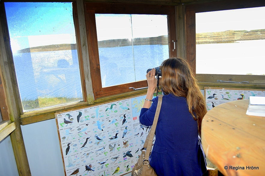 The Bird-Watching Hut at Efri-Vík