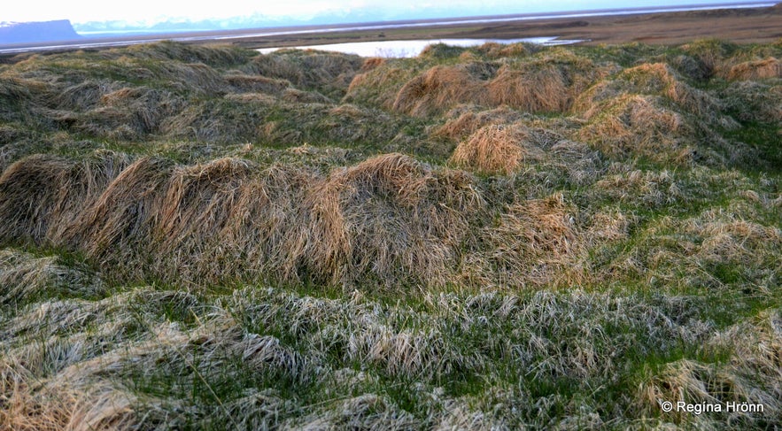 Ruins of an old turf farm at Efri-Vík