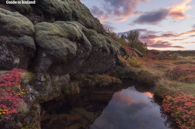 Thingvellir ("Campi del Parlamento") è un famoso sito del patrimonio mondiale dell'UNESCO sulla terraferma islandese.