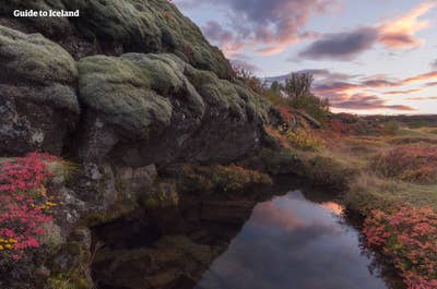 Thingvellir ("Campi del Parlamento") è un famoso sito del patrimonio mondiale dell'UNESCO sulla terraferma islandese.