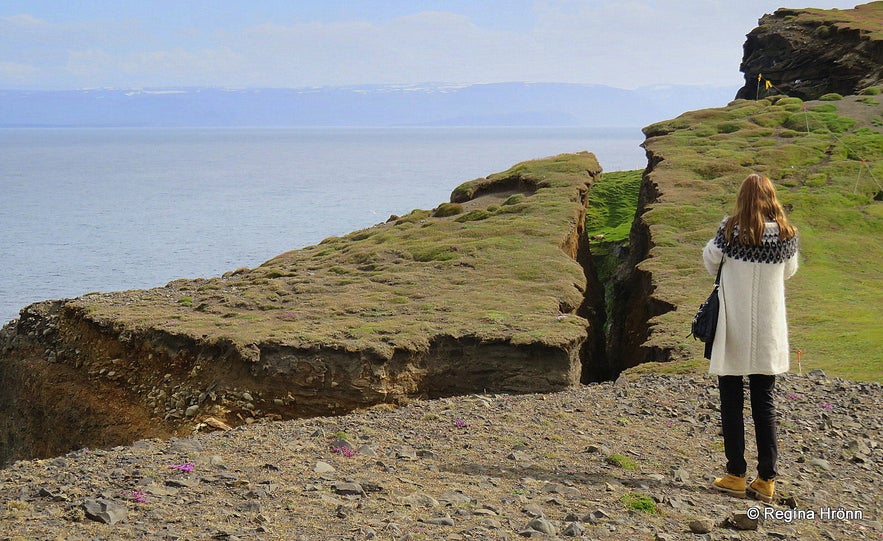 Regína at  Ketubjörg Cliffs and Dalshorn at Skagi in North-Iceland