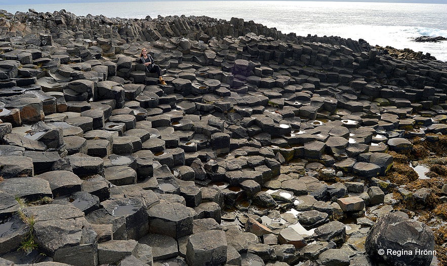 Amazing basalt columns at Kálfshamarsvík cove at Skagi North-Iceland