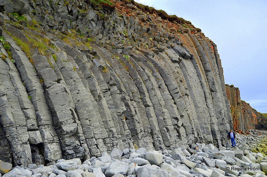 Amazing basalt columns at Kálfshamarsvík cove at Skagi North-Iceland