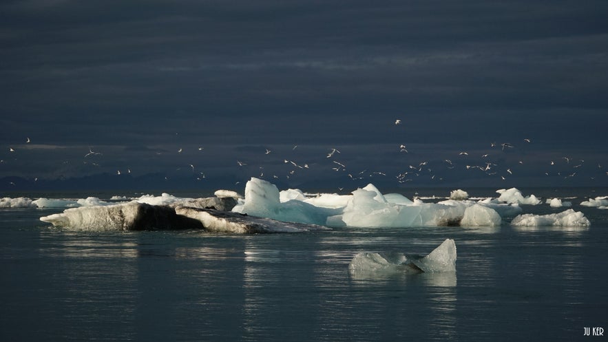 Jökulsárlón, I Love You!