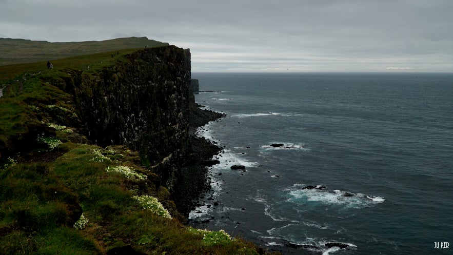 Falaise de Latrabjarg dans les Westfjords en Islande