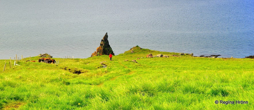 Ánastaðastapi rock on Vatnsnes peninsula