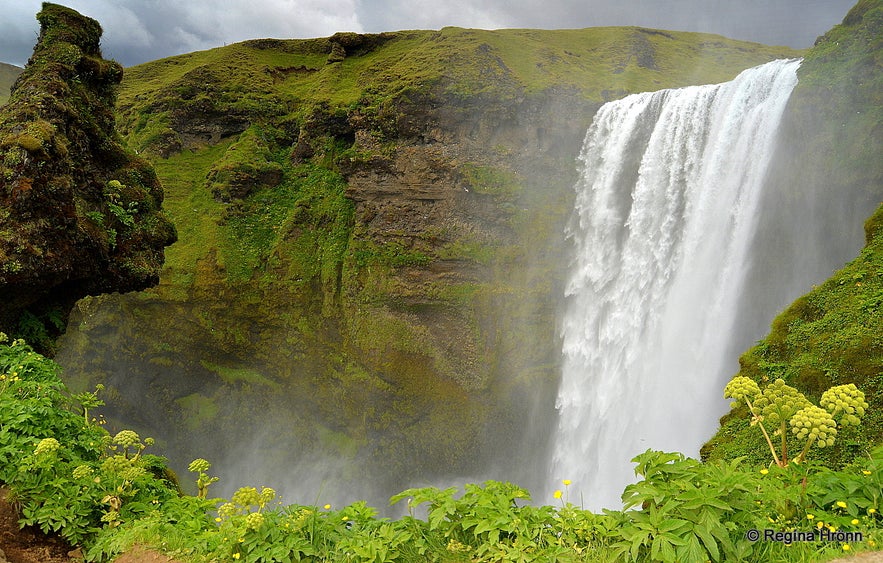 Skógafoss waterfall and the troll