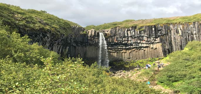 Wanderung zum Svartifoss-Wasserfall