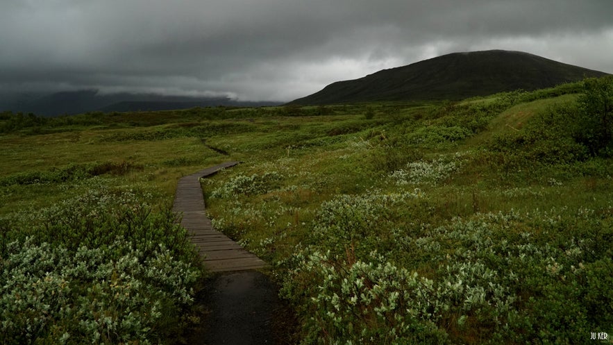 Sentier de Morsárdalur à Skaftafell