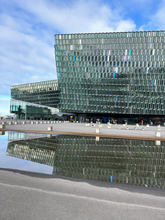 Walking Tour of Reykjavik's History & Culture