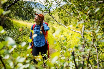 Discover the scenic Þórsmörk valley in the Icelandic highlands with a 2-day tour.