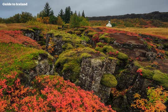 Tur i lille gruppe til den Gyldne Cirkel i minibus fra Reykjavik inkl. Bruarfoss-vandfaldet og Kerid-krateret