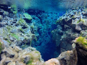 丝浮拉裂缝中的岩石上生长着鲜亮的绿色海藻。