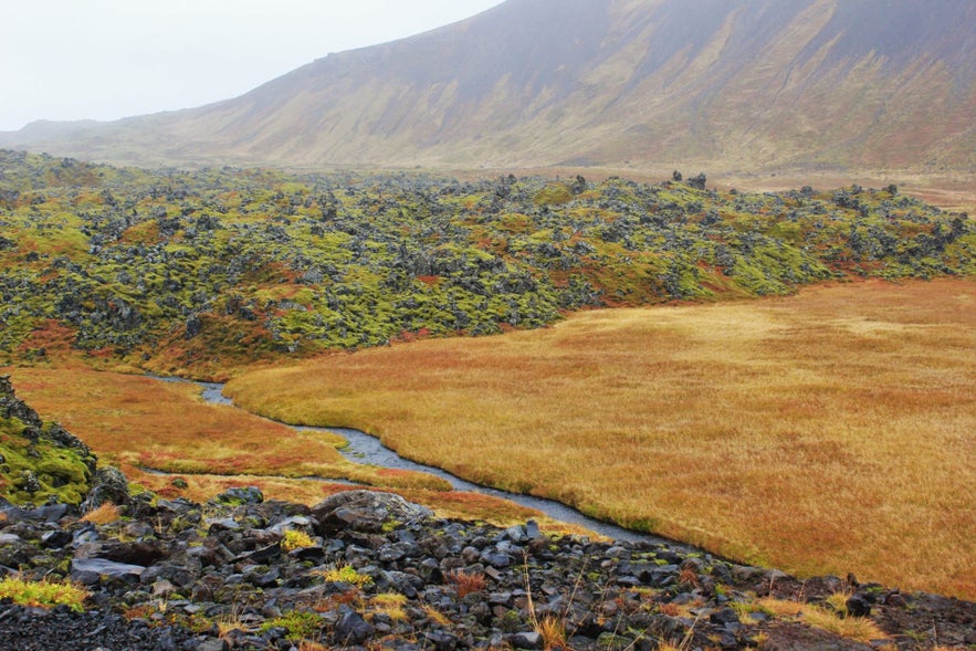 Self-driving Iceland